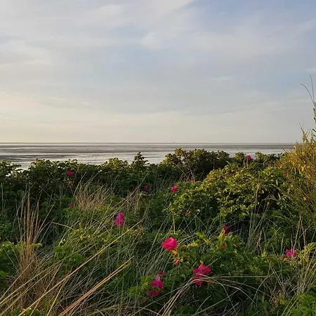 Apartmán Residenz Strandnixe *