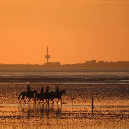 Διαμέρισμα Residenz Strandnixe Κουξχάφεν